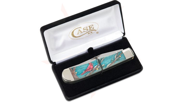 Case Cardinal Embellished Color Wash Smooth Natural Bone Trapper Pocket Knife 4.13 inch Closed in Gift Box (6254 SS)