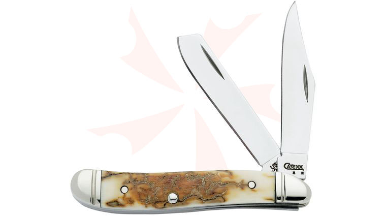 Case Mammoth Ivory Trapper Nut 2-7/8 inch Closed (I220 1/2 SS) Gift Box/Tin