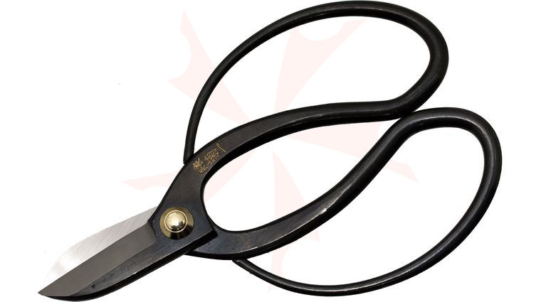 Kikuichi Koryu Style Flower Arranging Shears (A1100-1)