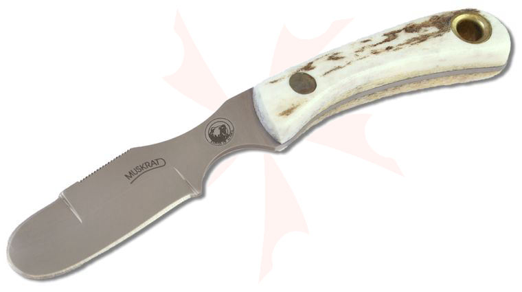 Knives of Alaska Muskrat Knife Fixed 2.25 inch D2 Bead Blasted Skinner Blade, Stag Handles, Brown Leather Sheath
