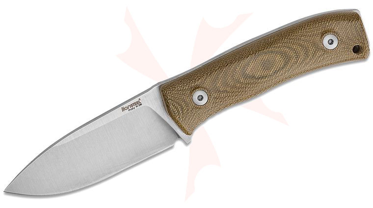 LionSteel M4 CVG Bushcrafting Fixed Blade Knife 3.74 inch Satin M390 Plain Blade, Green Canvas Micarta Handles, Leather Sheath