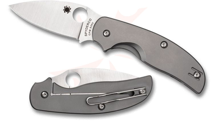 Spyderco Sage 2 Folding Knife 3 inch S30V Plain Blade, Titanium Handles