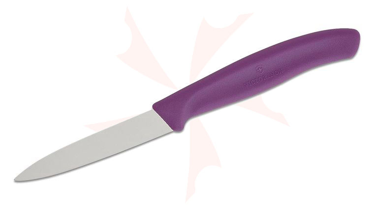 Victorinox Swiss Classic 3.25 inch Paring Knife, Plain Spear Point Blade, Purple Polypropylene Handle