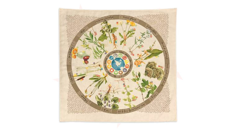 Wazoo Survival Gear Foraging Field Reference Bandana